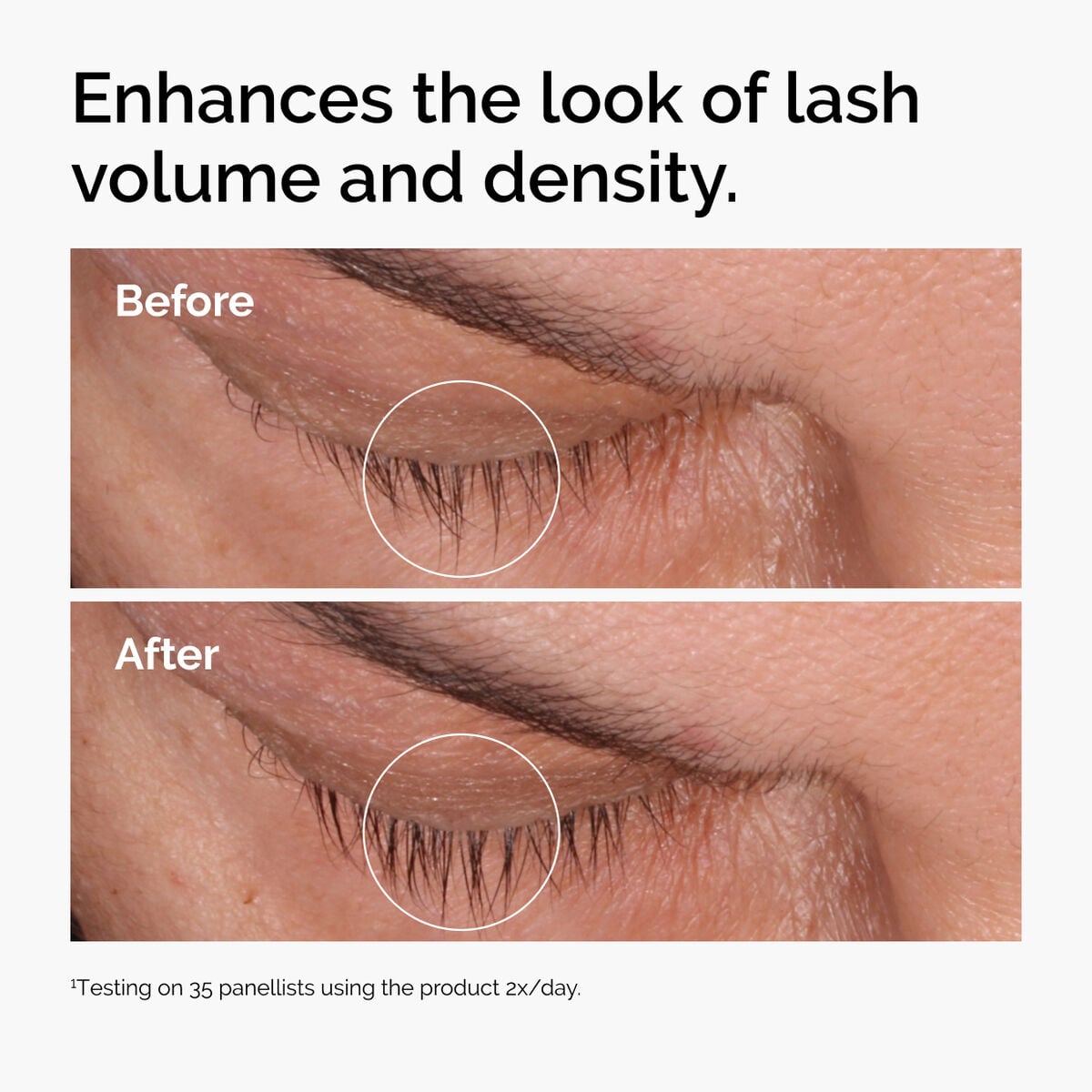 Multi-Peptide Lash and Brow Serum Targeted Eye Support B8