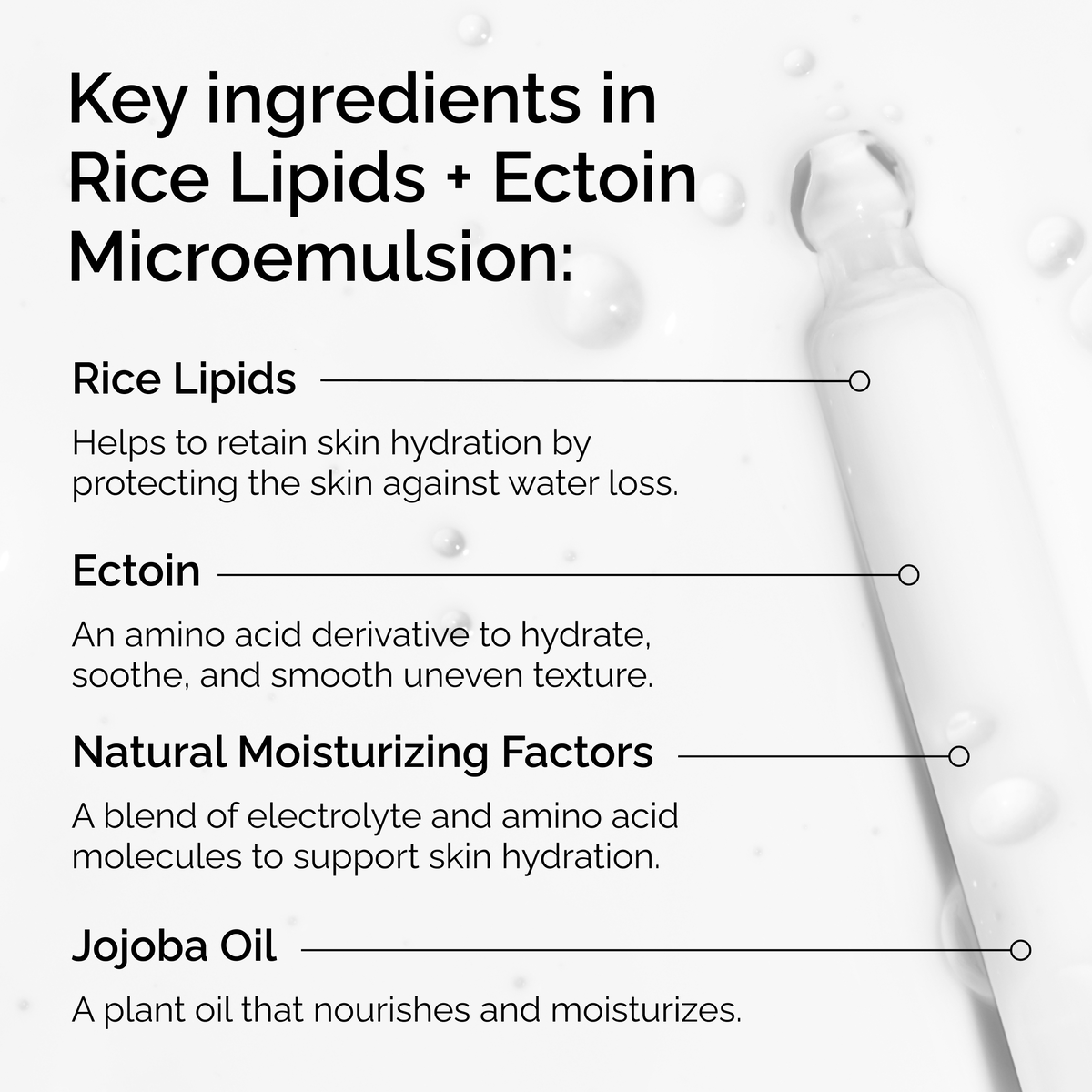 Rice Lipids + Ectoin Microemulsion Curated Care Set G1